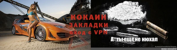 ПСИЛОЦИБИНОВЫЕ ГРИБЫ Тавда