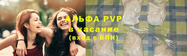 сатива Михайлов