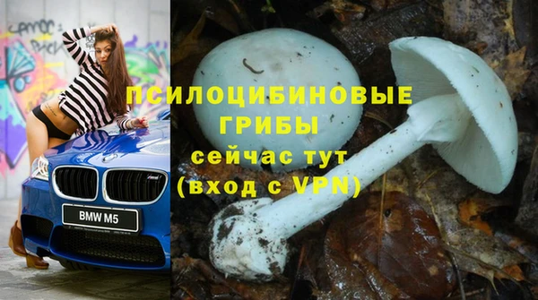 эйфоретик Михайловка
