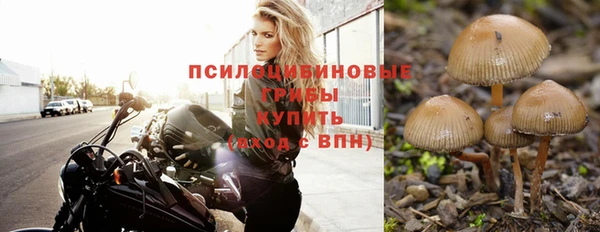 спайс Тайга