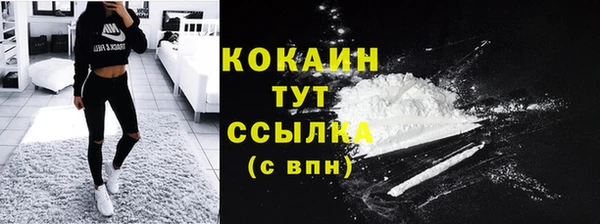 сатива Михайлов